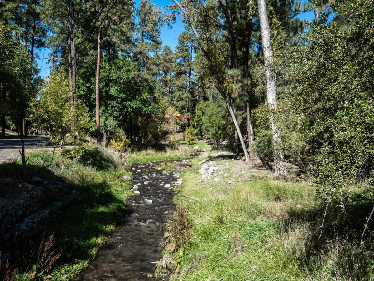 Apache Village 4, King Studio, Midtown, Sleeps 2 Ruidoso Extérieur photo